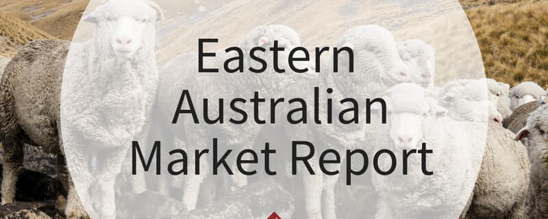 Eastern Australian Market Report