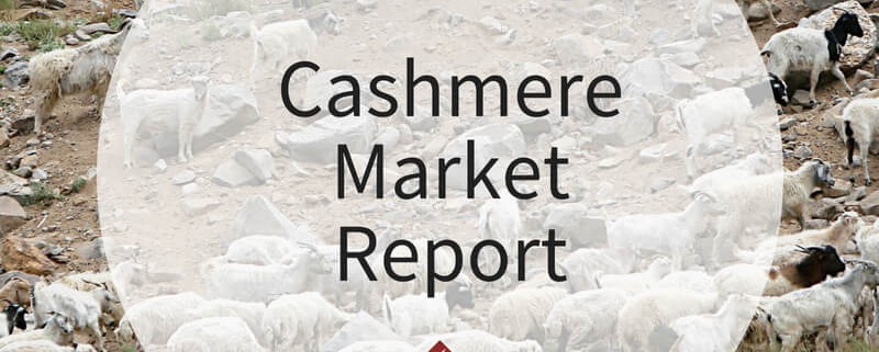 Cashmere Market Report