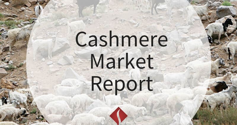 Cashmere Market Report