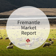 Fremantle Market Report