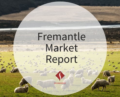 Fremantle Market Report