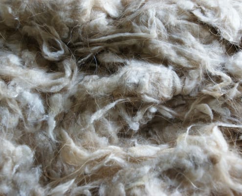 Cashmere fibre