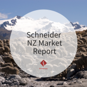 Schneider NZ Market Report