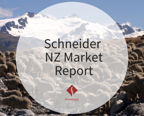 Schneider NZ Market Report