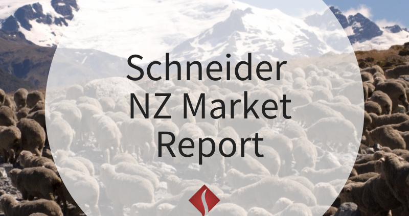 Schneider NZ Market Report