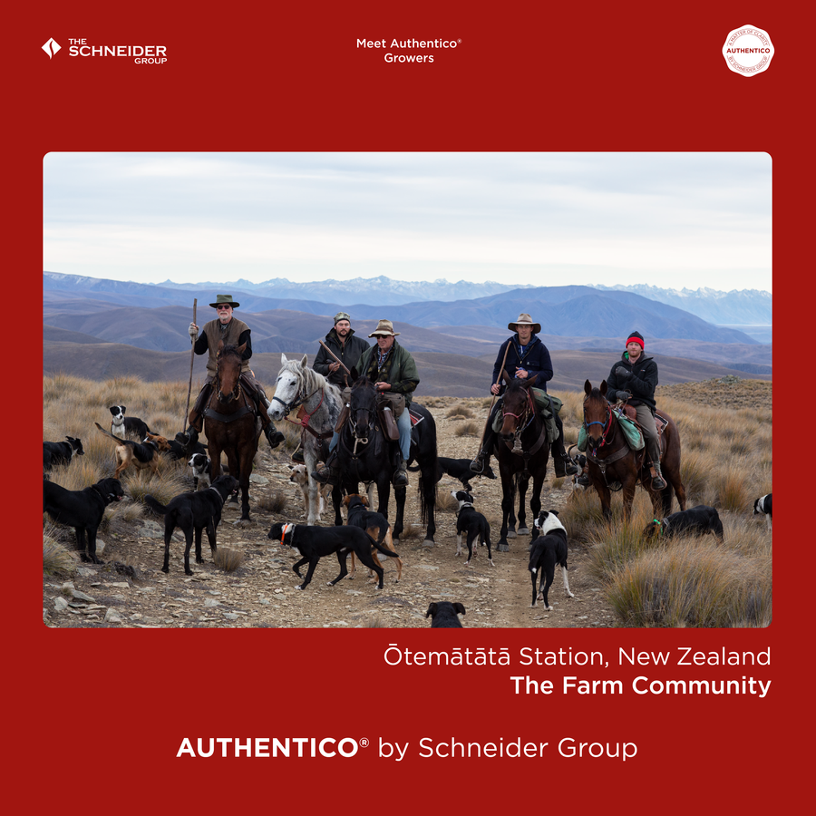 07_Authentico_Growers_2_NewZealand_risultato