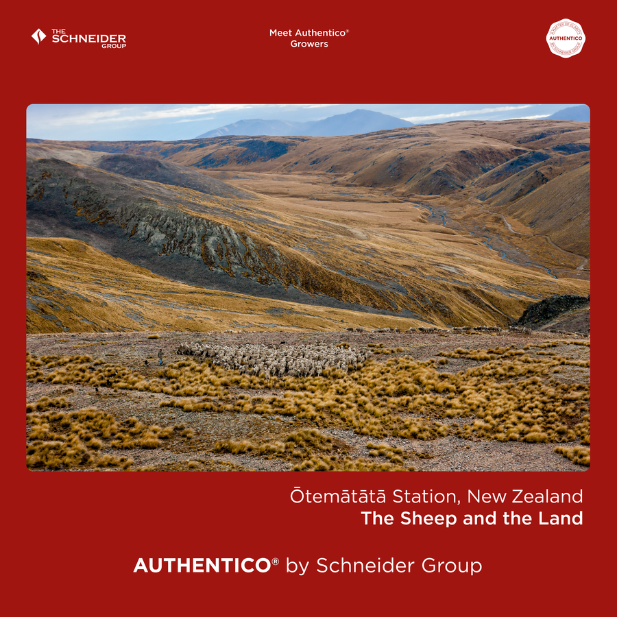 08_Authentico_Growers_2_NewZealand_Tavola disegno 1-05_risultato