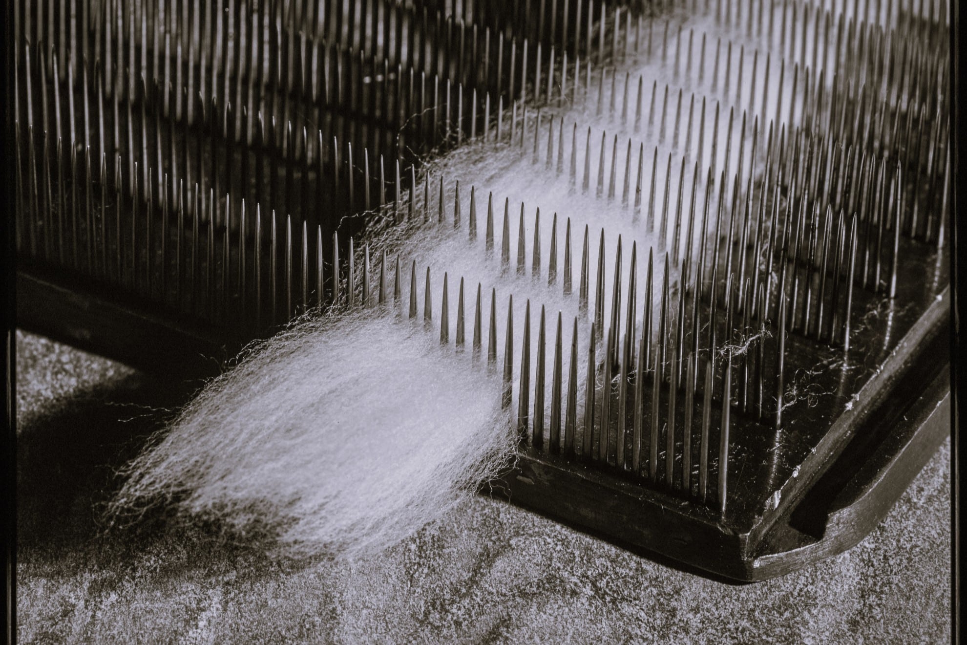 G.Modiano Slide Image